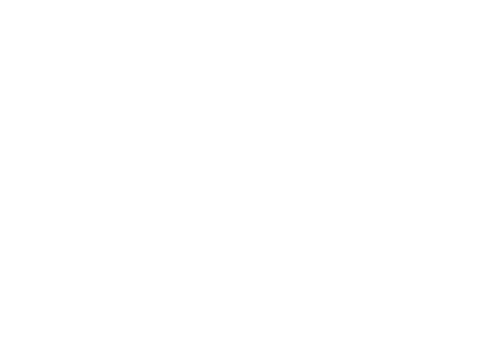 BVLOS InC Logo reverse lrg transparent